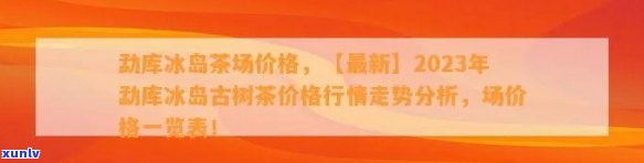 冰岛茶价格表全览：2023年最新价格、档次与正品价格一览