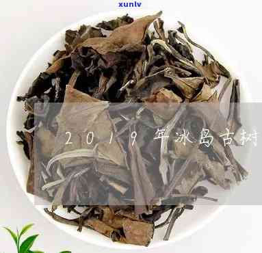 冰岛古树茶黑条白芽-冰岛古树茶黑条白芽是什么茶