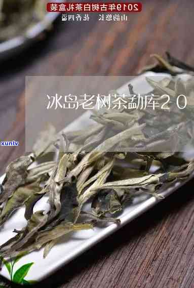 勐库冰岛老树茶价格，探寻勐库冰岛老树茶的价格奥秘