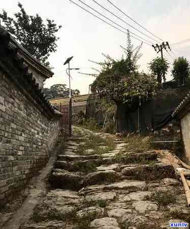 岩佤勐库冰岛古树茶-云南临沧勐库冰岛古树茶