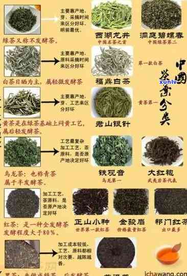 怎么辨别茶叶的品种名称？从图片到  全解析