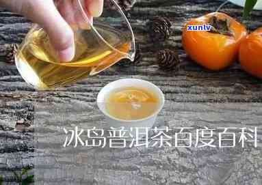 冰岛茶百科，探索冰岛茶的奥秘：冰岛茶百科全书