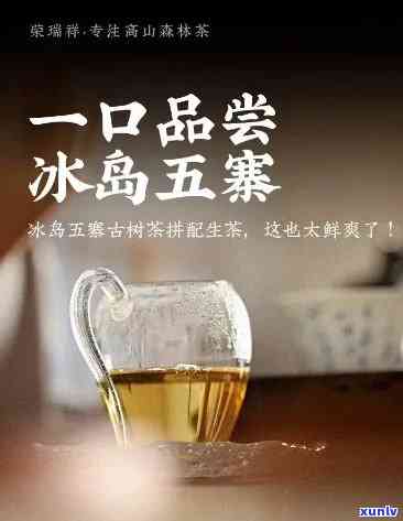 冰岛五寨熟茶是什么茶，探索冰岛五寨熟茶：独特的茶叶品种和口感特性