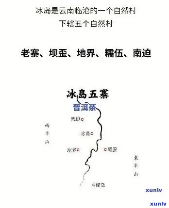 冰岛五寨是什么茶，探索神秘的冰岛五寨：揭秘这款独特的茶叶