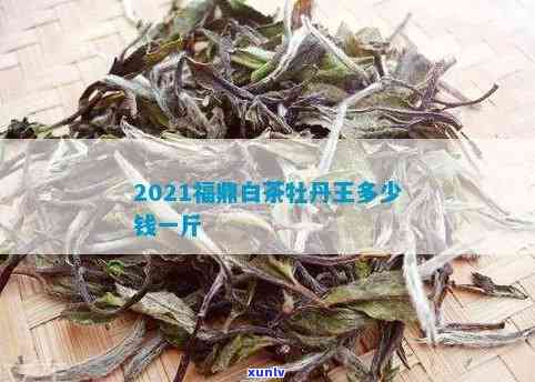 牡丹王茶叶多少钱一斤？详解其品种及价格围