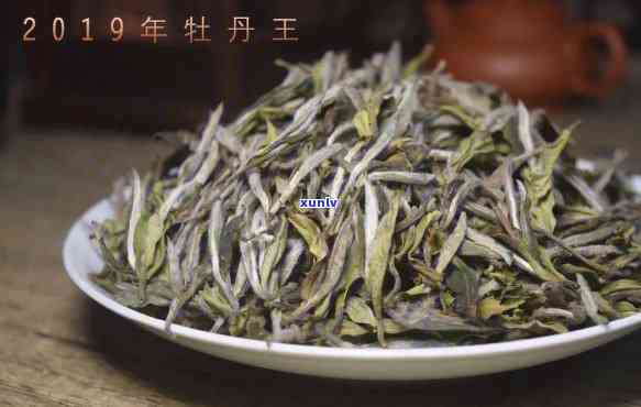 牡丹王茶叶多少钱一斤？详解其品种及价格围