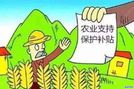 农村土地补偿什么时候到账，何时能收到农村土地补偿款？——关注补偿到账时间