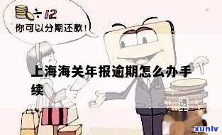 上海海关年报逾期说明什么问题，解读上海海关年报逾期：揭示的问题与可能的解决方案