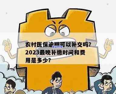 南市农村医疗逾期补交攻略：逾期后如何补缴？医保断交后补交时间需知