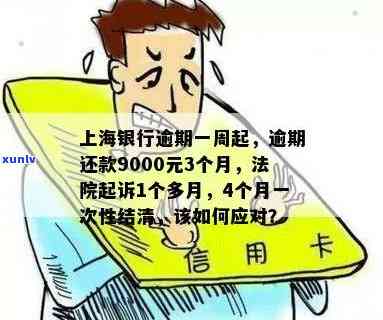 上海银行逾期三千一年会怎么样？逾期还款9000元3个月影响、被起诉时间及上期限解析，以及逾期3天、想分期还款的协商方式