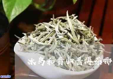 昔归与冰岛哪种茶好，昔归 vs 冰岛：哪一种茶叶更胜一筹？