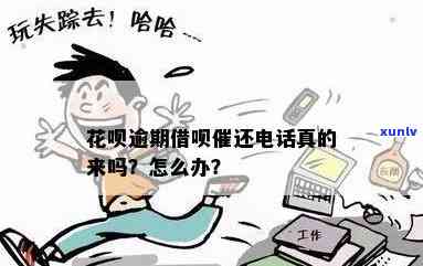 花呗逾期  过来钱还了是不是真的没事？