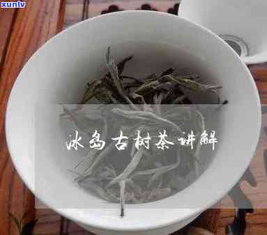 冰岛古树茶怎么样泡-冰岛古树茶怎么样泡的