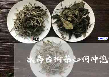 冰岛古树茶怎么样泡-冰岛古树茶怎么样泡的