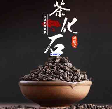 茶化石好还是茶叶好-茶化石好还是茶叶好呢