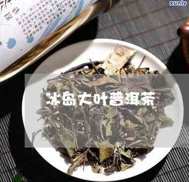 冰岛大叶种茶怎么样-冰岛大叶种茶怎么样好喝吗