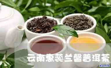 云南蕊兰馨茶业，探索云南优质茶叶：深入了解蕊兰馨茶业