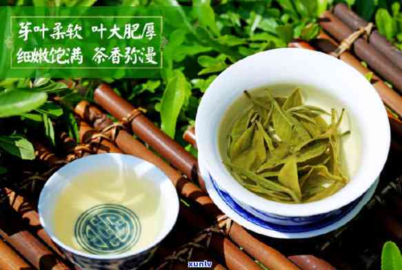 新益号的茶怎么样，品鉴新益号茶叶，了解其品质特点与口感如何？