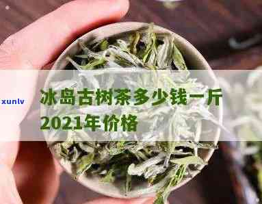 冰岛古树茶多少钱一斤2021年，2021年冰岛古树茶价格：一斤多少钱？