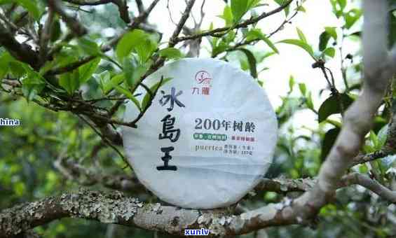 冰岛五寨的茶哪个厂的正宗，权威解读：冰岛五寨茶，哪家工厂出品更正宗？