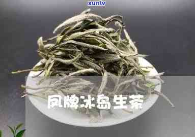 凤号冰岛古树生茶-凤号古树红茶价格