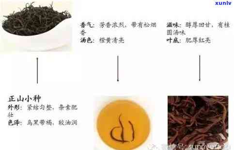 红茶包括哪些茶叶品种普洱，探究红茶的种类：普洱茶是否属于红茶系列？