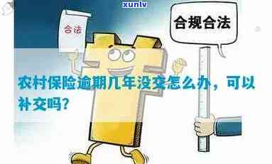 农村养老保险逾期未交怎么办？能补交吗？交会有何作用？可以推多久？