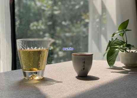 中国最贵的5大茶叶，探秘中国最昂贵的五大茶叶