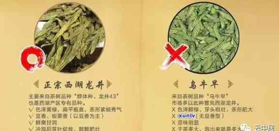 如何分辨茶叶好坏：图片、视频全解析，一图对比，详细教程