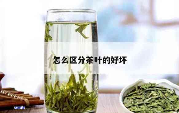 如何分辨茶叶的好坏-如何分辨茶叶的好坏真假