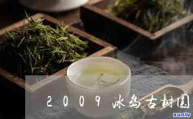 冰岛古树圆茶2009，探索冰岛古老茶树的秘密：2009年份圆茶