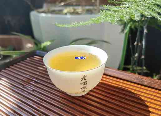 冰岛古树茶怎么冲泡，冰岛古树茶的正确冲泡 *** 