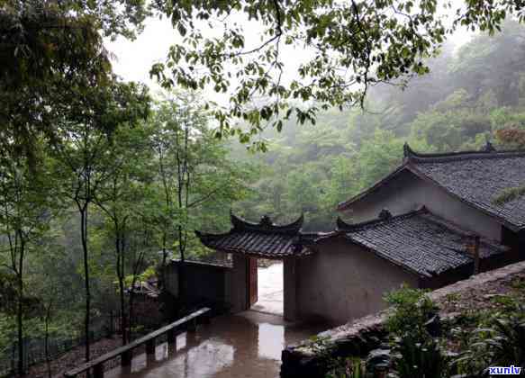 青山戴和翡翠冷-翡翠冷和青山黛