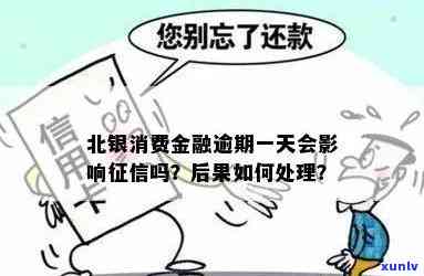 北银消费逾期一天的作用：利息、及结果全解析