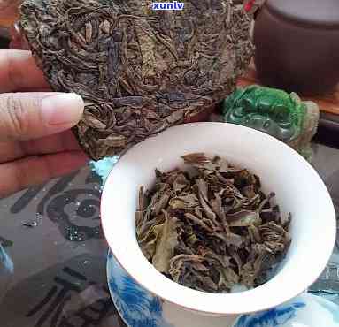 冰岛古树茶贮存十年-冰岛古树茶贮存十年会坏吗