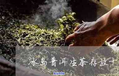 冰岛古树茶贮存十年-冰岛古树茶贮存十年会坏吗