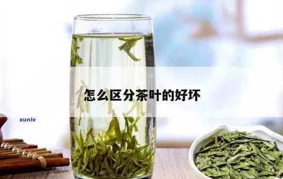 茶叶怎么分出来好坏-茶叶怎么分出来好坏图片