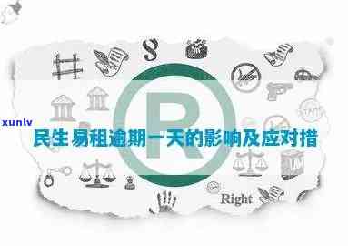 民生易贷逾期一天能否再借款？作用及解决  