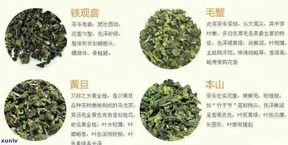 简述茶叶的保健功效和作用，探讨茶叶的保健功效与作用：从古至今的历演变