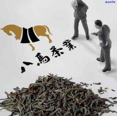 八马茶业什么茶，探索品质之选：八马茶业茶叶推荐