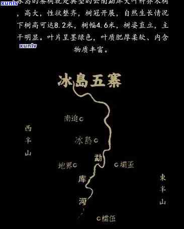 冰岛五寨茶是哪五寨，揭秘冰岛五寨茶：究竟指的是哪五个地方？