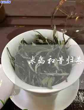 昔归与冰岛是生茶吗-昔归与冰岛哪种茶好