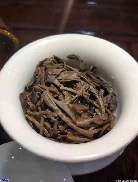 冰岛玉叶5寨古树茶-冰岛玉叶是什么茶