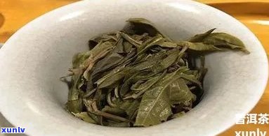 冰岛老茶有麻凉感吗？女性可以饮用吗？探讨其口感与特点，以及冲泡 *** 。比较冰岛新茶与老茶的口感，哪一种更好喝？