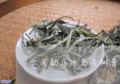 勐库冰岛御祥龙古茶-玉龙祥茶业冰岛古树