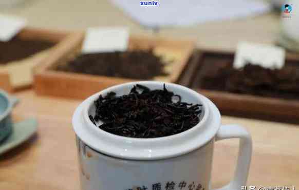 熟茶怎么品鉴，品味熟茶：从色泽到口感的全面品鉴指南