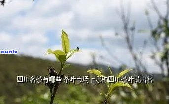 四川哪里的茶叶喝？更具知名度、正宗性和性价比的地方揭晓！