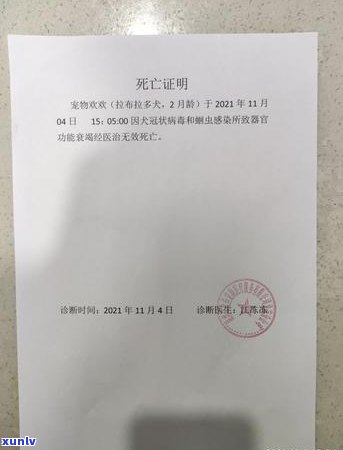 逾期多久会被起诉每个月还700，逾期还款：每月700元，何时会采用法律行动？