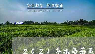 1千多万的冰岛茶王有哪些？2021年冰岛茶王拍出高价