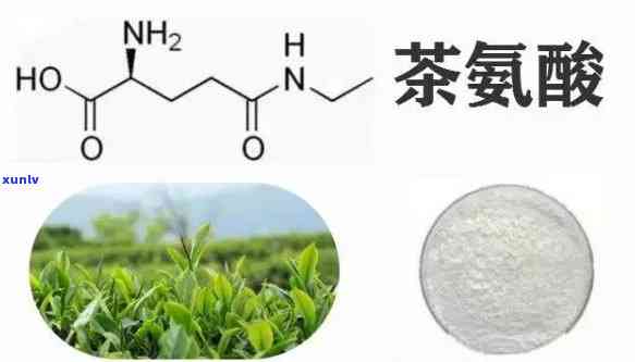 全面了解茶叶茶氨酸：功效、作用及禁忌